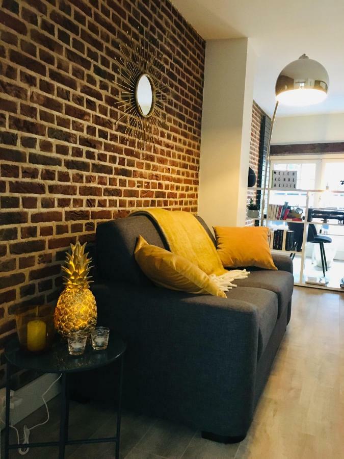 Appartement Heloise, Le Charme Du Vieux-Rijsel Buitenkant foto